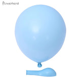Macaron Blue Theme balionų rinkinys (104 vnt)